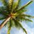 Karyn Bailey Cobb's profile image