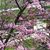 Gail Dulaney's profile image