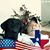 WJ Bivins's profile image