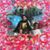 Victoria Fierro's profile image