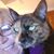 Kathy Knight's profile image