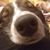David Locander's profile image