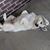Elizabeth M. Capps's profile image