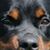 Heather West's profile image