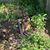 Susan Hink Hemenway's profile image
