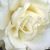Gina Martinez's profile image