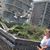 Sandra Shears's profile image