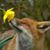 Tina Trana's profile image