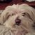 Linda Harger's profile image
