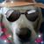 Renee Long-Meeks's profile image