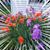 Jocelyn Hess Beck's profile image