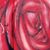 Roger Bellin's profile image