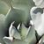 Karen Mazur Larsen's profile image