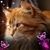 Deborah Mary's profile image