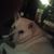 Debbie Brown's profile image