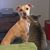 Jessica Hately's profile image