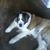 Karen Lister's profile image