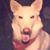 Laura Halbman's profile image
