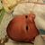 Kc Corine Graham's profile image