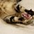 Ruth Terhune's profile image