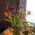 Tina Gaither-Gunn's profile image