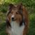 Cebrina Sternberg's profile image