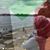 Yasmeen Fageer's profile image