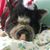 Belinda Kemper's profile image