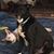 Traci Castrovinci's profile image