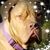 Margie Chamberlin's profile image