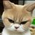 Elaine Garrison's profile image