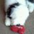 Kathy Buck's profile image