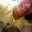 HeatherHope's profile image