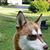 Patricia Crafton's profile image