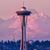 Mary Corinne Tyo Fruetel's profile image