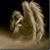Debra Mackey-Hogge's profile image
