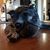 Kathy Wilson's profile image