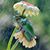 Julie Dannenmann's profile image