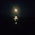 Holli Jeffers-Roper's profile image