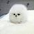Vickie Combs Smith's profile image