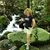 Jane Steffen's profile image
