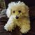Anna Maria Colaneri's profile image