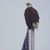 Martha Smith's profile image