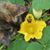 Sally Sparkman Frysinger's profile image