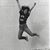 Lisa Sumner Miner's profile image