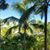 Brenda Irvin Guinsler's profile image