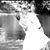 June Lawton's profile image
