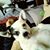 Jeff Reiter's profile image