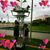 Joanne Arpaia's profile image