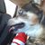 Mary Trompeter's profile image